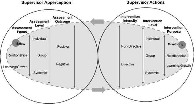Source: The Expert Group Work Supervision Process: Apperception, Actions, and Interactions